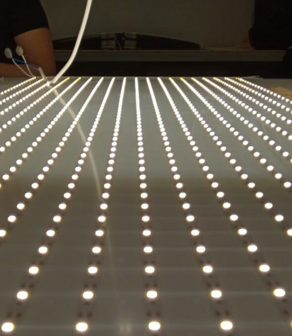 photo_5341317257856413927_y